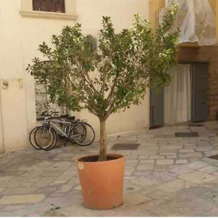 Corte32 Bari Exterior photo